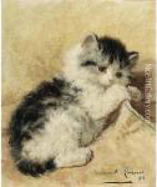 A Playful Kitten Oil Painting - Henriette Ronner-Knip