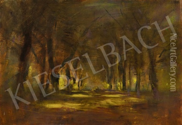 Sunlit Alle In The Castle Park Oil Painting - Laszlo Mednyanszky