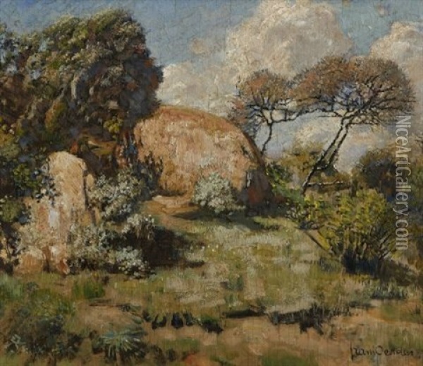 Landscape With Shrubs And Rocks Oil Painting - Frans David Oerder