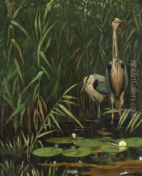 Two Herons Near The Waterfront Oil Painting - August Johannes le Gras
