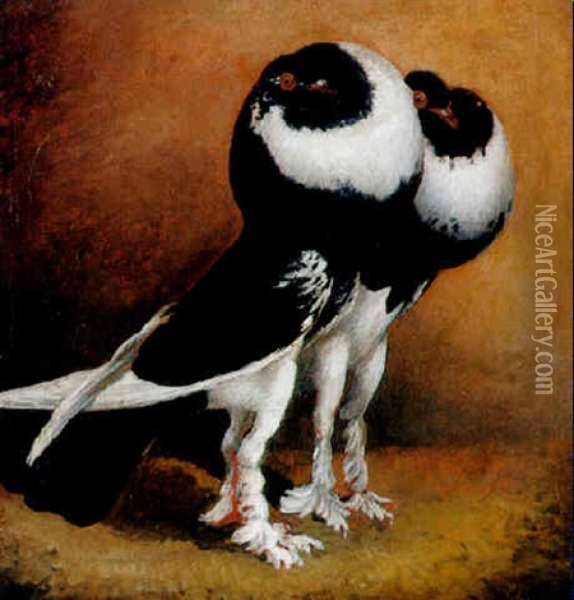 Zwei Tauben Einer Ungegwohnlichen Rasse Oil Painting - Julius Scheuerer