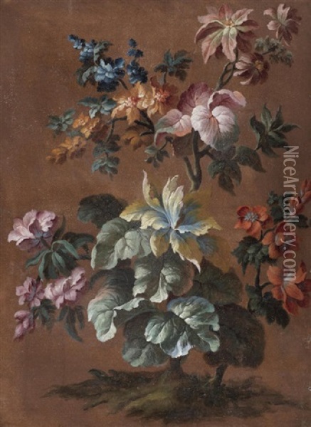 Studies Of Flowers Oil Painting - Alexandre Francois Desportes