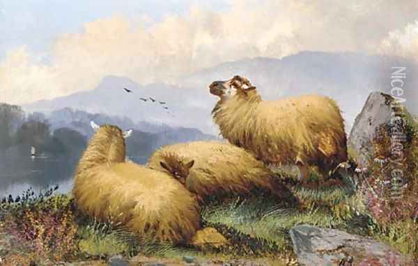 Sheep resting in a mountainous landscape Oil Painting - John Morris