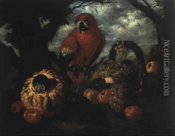 Nature Morte Au Perroquet Oil Painting - Giovanni Paolo Castelli (lo Spadino)