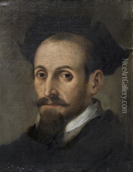 Portrait D'homme Au Chapeau Noir Oil Painting - Sofonisba Anguissola