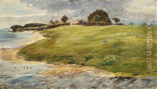 Fra Saltholm Strand Oil Painting - Theodor Philipsen