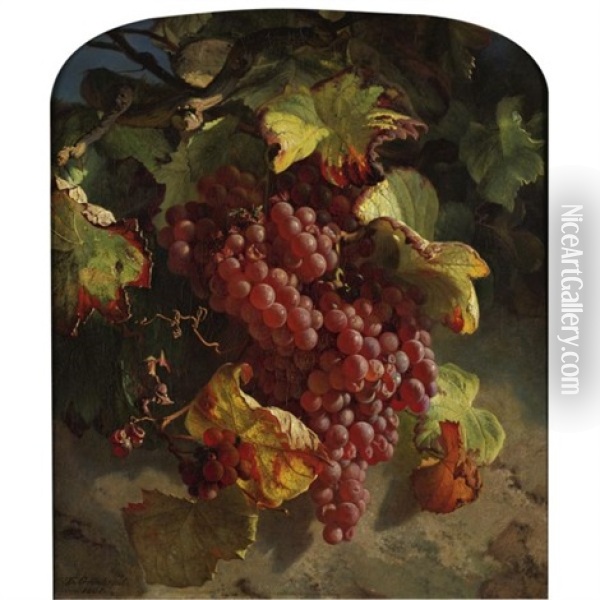 Grapes On A Vine Oil Painting - Theude Groenland