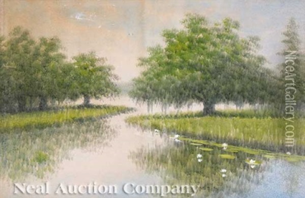 Live Oaks On The Louisiana Bayou Oil Painting - Alexander John Drysdale