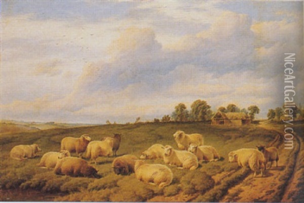 Sheep In A Meadow Oil Painting - Charles Jones
