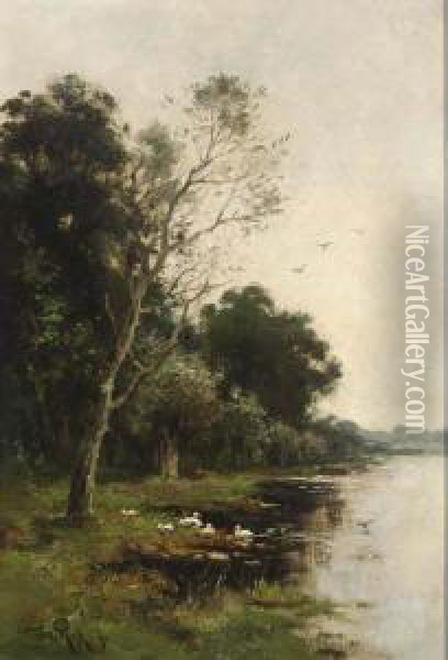 Ducks On The Waterfront Oil Painting - Willem Cornelis Rip