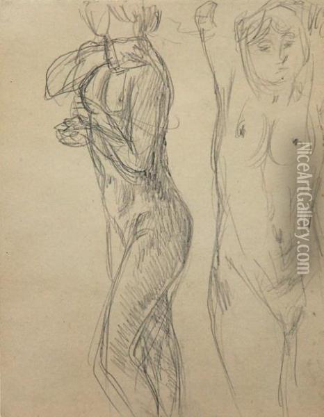 Nu Feminin Oil Painting - Pierre Bonnard