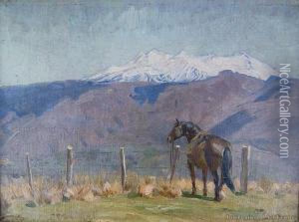 Horse In A Landscape 'the Fence' Oil Painting - Beatrix Charlotte Dobie