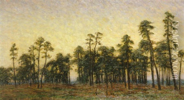 Tallskog I Skymning Oil Painting - Karl Nordstroem
