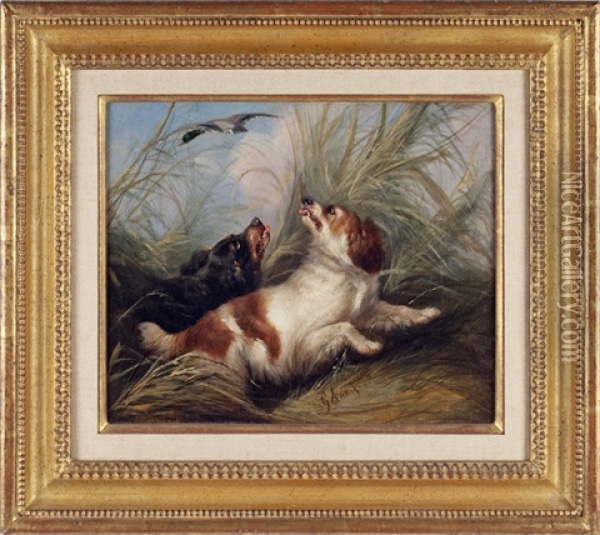 Spaniels Flushing A Duck Oil Painting - George Armfield