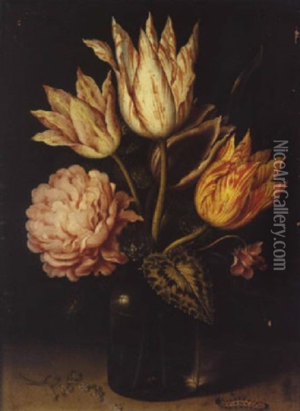 Bouquet De Tulipes Et De Roses Dans Un Vase Pose Sur Un Entablement Oil Painting - Ambrosius Bosschaert the Elder