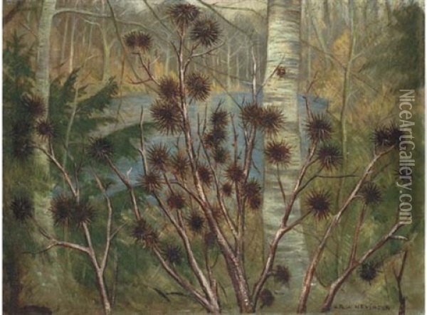 Wooded Landscape Oil Painting - Christopher Richard Wynne Nevinson