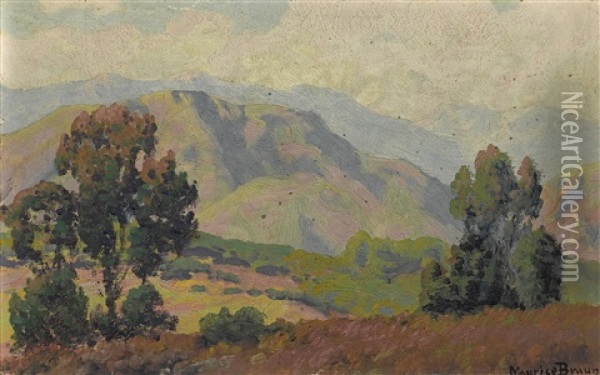 California Landscape With Rolling Hills Oil Painting - Maurice Braun