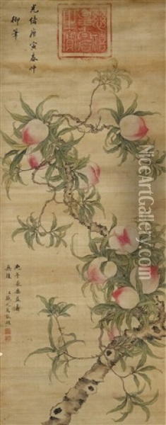 Peaches Of Longevity Oil Painting -  Zhang Zhiwan