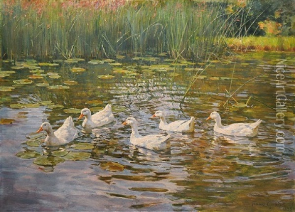 Funf Enten Im Seerosenteich Oil Painting - Franz Graessel