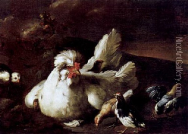 Eine Glucke Mit Ihren Kuken Oil Painting - Giovanni Agostino (Abate) Cassana