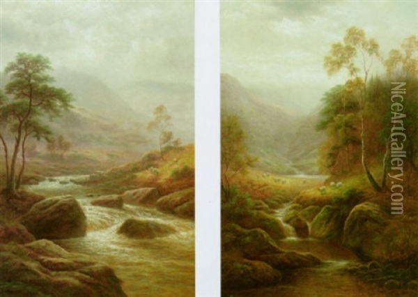 Mountain Stream, Near Capel Curig, North Wales Oil Painting - William Mellor