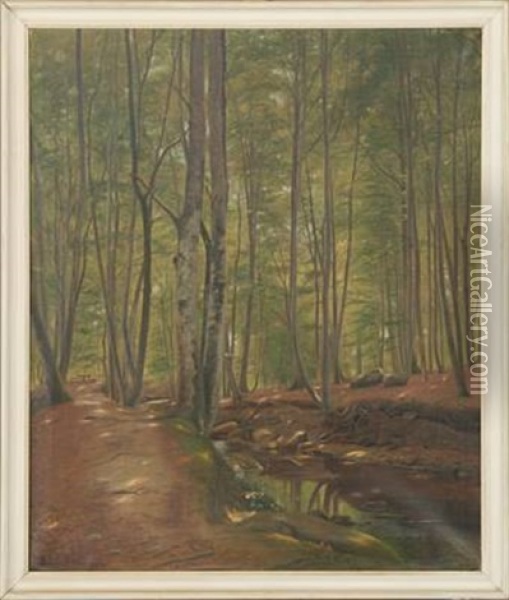 Forest Scenery From Marselisborg Oil Painting - Julius Petersen