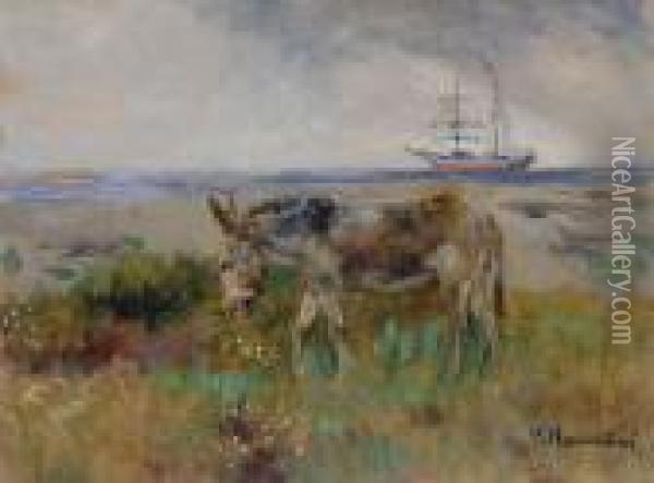 Il Solitario Oil Painting - Plinio Nomellini