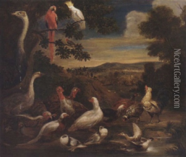 An Ostrich, Parrots, Turkeys, Cockerels, A Pheasant And Other Birds In A Wooded Landscape By Apond Oil Painting - Melchior de Hondecoeter