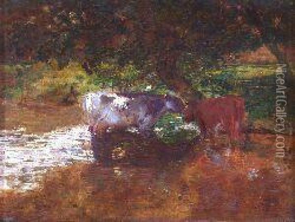 Cattle Watering In A Shady Stream Oil Painting - Robert Noble