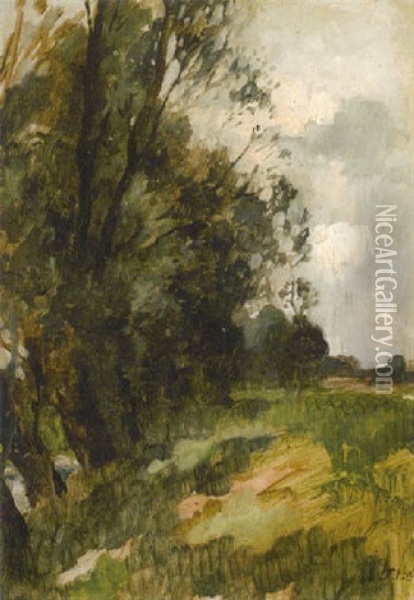 Landschaft Mit Weidenbaumen Am Bach Oil Painting - Thomas Herbst
