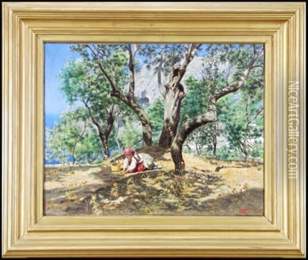 Girl Sorting Truffles Oil Painting - Angiolo Torchi
