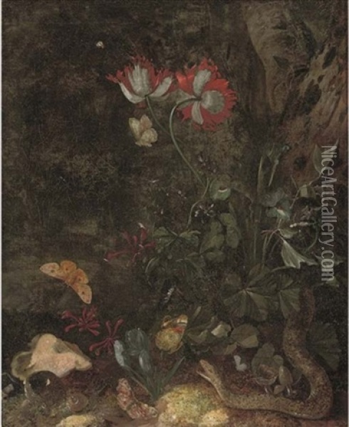 A Forest Floor Still Life With A Snake, A Snail, Butterflies, Poppies And Other Flowers Oil Painting - Otto Marseus van Schrieck