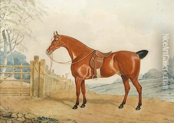 A Bay Horse In A Landscape Oil Painting - Edwin, Beccles Of Cooper