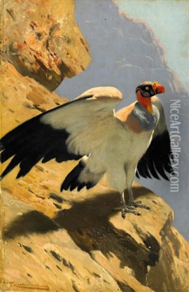 Geier Am Felsvorsprung Oil Painting - Wilhelm Friedrich Kuhnert