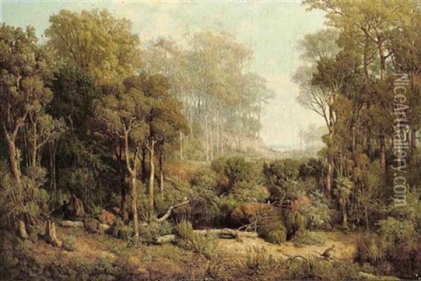 Australischer Wald. Character Des Illawara Gebietes (australian Forest In The Illawarra District) Oil Painting - Josef Selleny