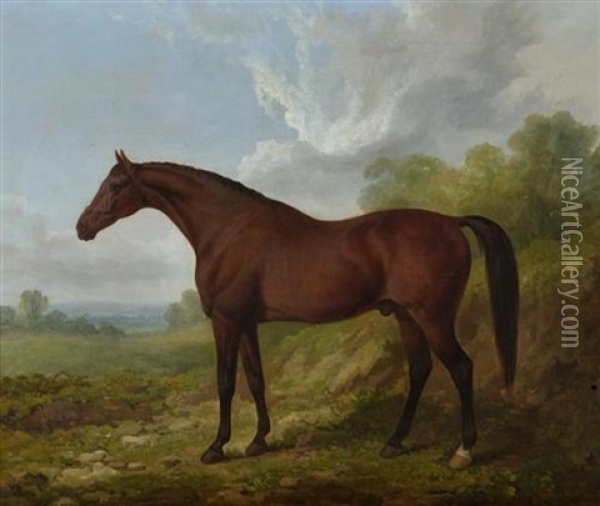 Das Pferd "rubens" Oil Painting - James Barenger the Younger