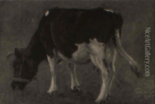 Study Of A Cow Grazing Oil Painting - Otto Bache