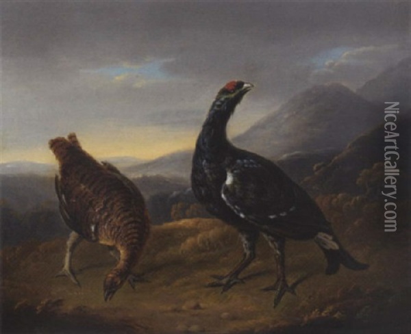 Blackcock In A Landscape Oil Painting - Stephen Elmer