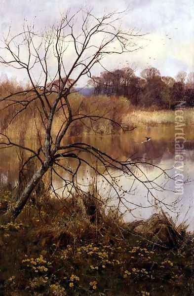 Marsh Marigolds, Paddington Pond, Abinger Hammer, 1892 Oil Painting - Edward Wilkins Waite