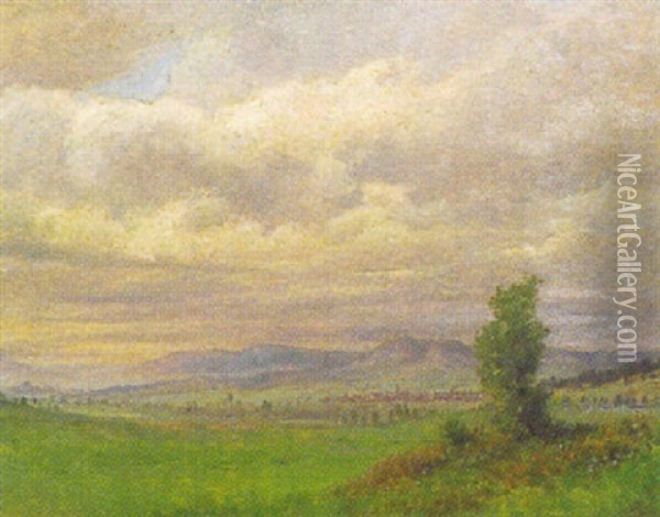 Ansicht Von Furstenberg Bei Donaueschingen Oil Painting - Karl Spitz