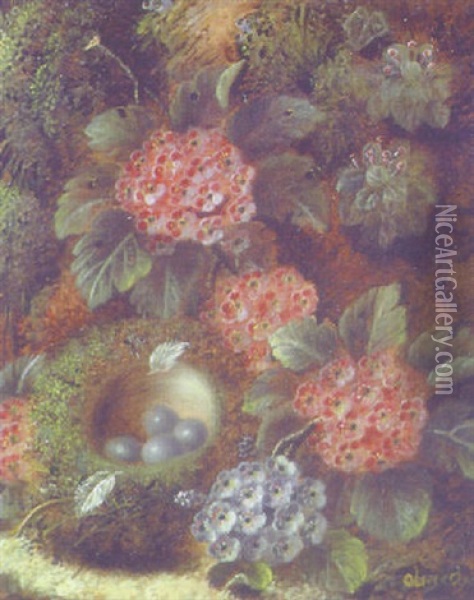 Still Life Of Flowers And A Bird's Nest Oil Painting - Oliver Clare