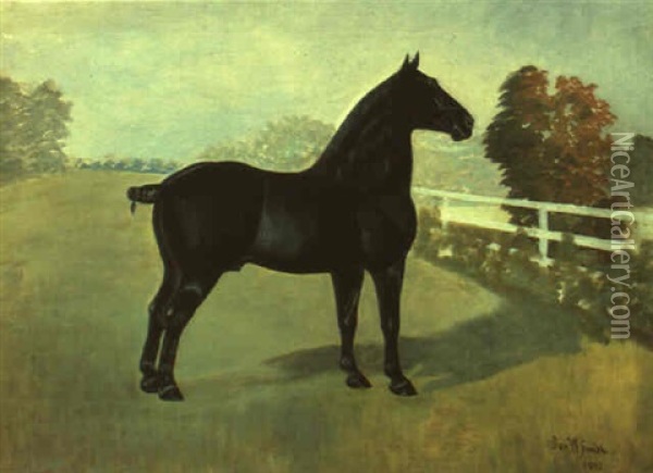 Black Horse In Landscape Oil Painting - Daniel Smith
