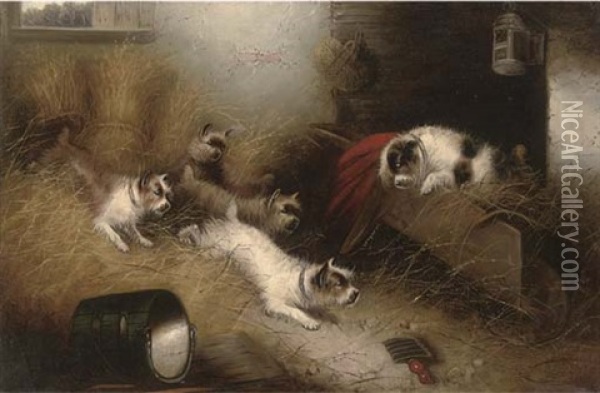 The Mouse Hunters Oil Painting - Edward Armfield