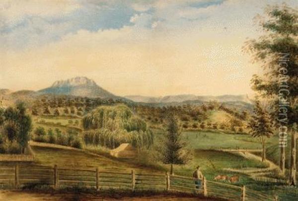 Quamby Bluff, Near Hagley, Northern Tasmania Oil Painting - Sarah Ann Fogg