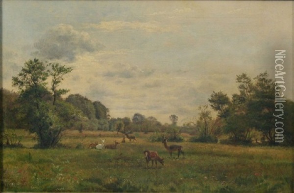 Paysage Anime D'une Harde De Cerfs Et De Biches Oil Painting - Harald Trolle