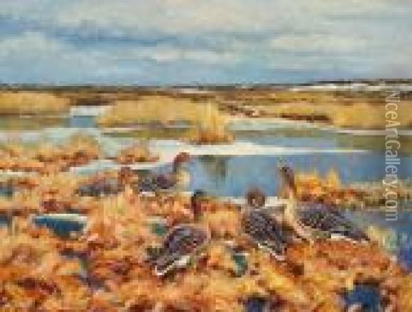 Ducks On A Tidal Meadow, Winter Oil Painting - William Gislander