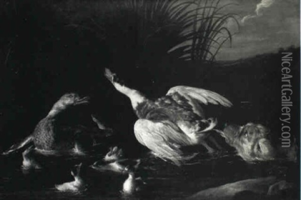 A Hunting Dog Pursuing Water Fowl In A Stream Oil Painting - Alexandre Francois Desportes