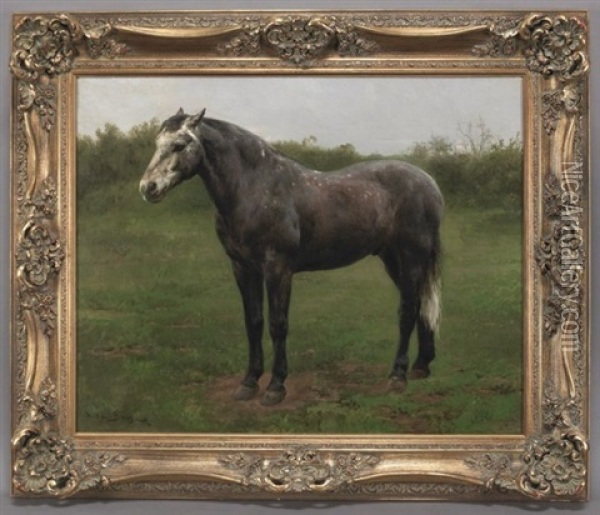 Grey Horse Oil Painting - Rosa Bonheur