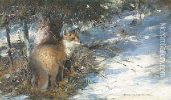 Fuchs Im Winter. Oil Painting - Rudolf Schramm-Zittau