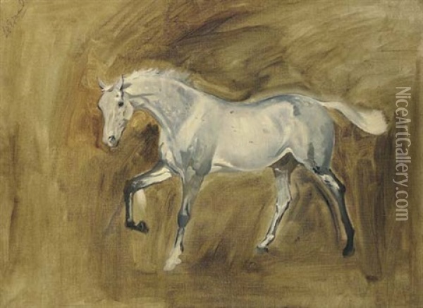 Sketch Of A Dapple Grey Horse Oil Painting - James Lynwood Palmer